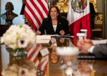 Kamala Harris Admits Trump-Era Grocery Prices Were Lower: A Flawed Plan for Food Price Controls
